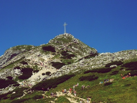 Kliknij na zdjęcie, żeby zobaczyć w pełnych wymiarach