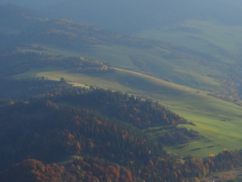 Kliknij na zdjęcie, żeby zobaczyć w pełnych wymiarach