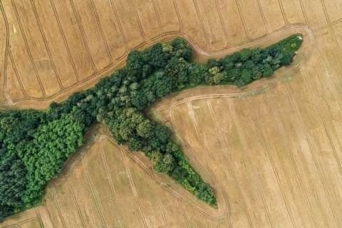 Kliknij na zdjęcie, żeby zobaczyć w pełnych wymiarach