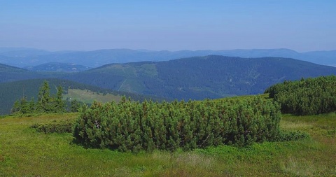 Kliknij na zdjęcie, żeby zobaczyć w pełnych wymiarach
