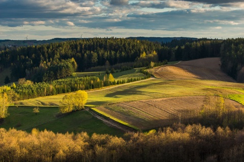 Kliknij na zdjęcie, żeby zobaczyć w pełnych wymiarach