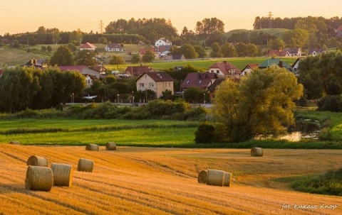 Kliknij na zdjęcie, żeby zobaczyć w pełnych wymiarach