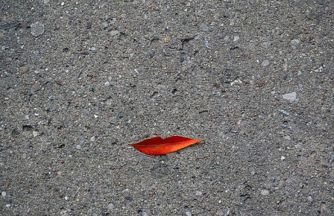 Kliknij na zdjęcie, żeby zobaczyć w pełnych wymiarach