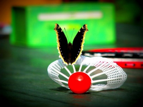 Kliknij na zdjęcie, żeby zobaczyć w pełnych wymiarach