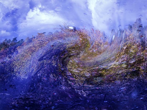 Kliknij na zdjęcie, żeby zobaczyć w pełnych wymiarach