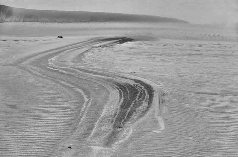 Kliknij na zdjęcie, żeby zobaczyć w pełnych wymiarach