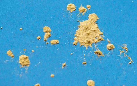 Kliknij na zdjęcie, żeby zobaczyć w pełnych wymiarach