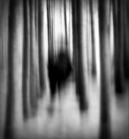 Kliknij na zdjęcie, żeby zobaczyć w pełnych wymiarach