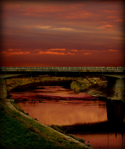Kliknij na zdjęcie, żeby zobaczyć w pełnych wymiarach