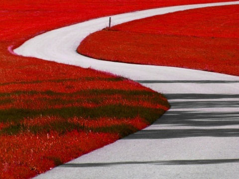 Kliknij na zdjęcie, żeby zobaczyć w pełnych wymiarach