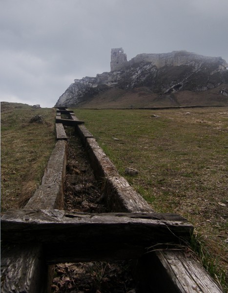 Kliknij na zdjęcie, żeby zobaczyć w pełnych wymiarach