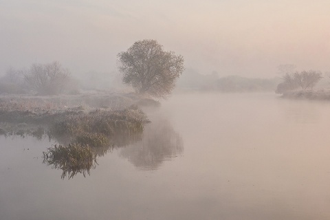 Kliknij na zdjęcie, żeby zobaczyć w pełnych wymiarach