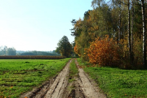 Kliknij na zdjęcie, żeby zobaczyć w pełnych wymiarach