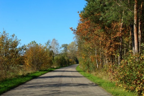 Kliknij na zdjęcie, żeby zobaczyć w pełnych wymiarach