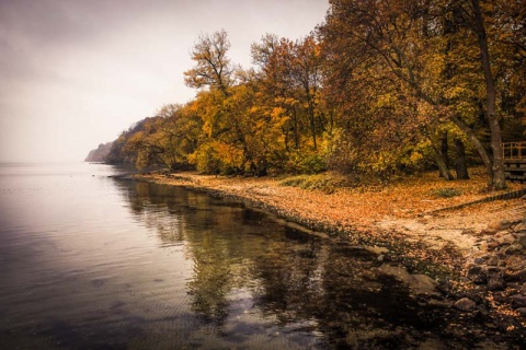 Kliknij na zdjęcie, żeby zobaczyć w pełnych wymiarach