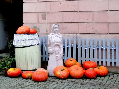 Kliknij na zdjęcie, żeby zobaczyć w pełnych wymiarach