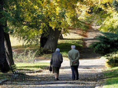 Kliknij na zdjęcie, żeby zobaczyć w pełnych wymiarach