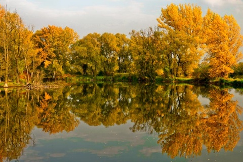 Kliknij na zdjęcie, żeby zobaczyć w pełnych wymiarach