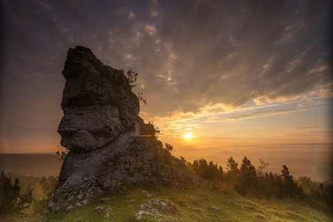 Kliknij na zdjęcie, żeby zobaczyć w pełnych wymiarach