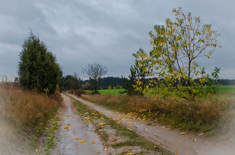 Kliknij na zdjęcie, żeby zobaczyć w pełnych wymiarach