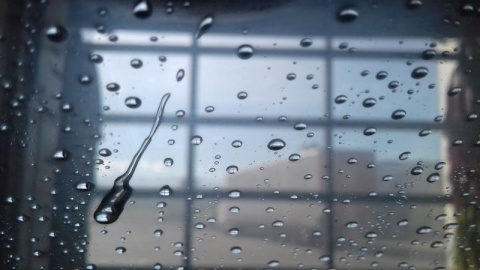 Kliknij na zdjęcie, żeby zobaczyć w pełnych wymiarach