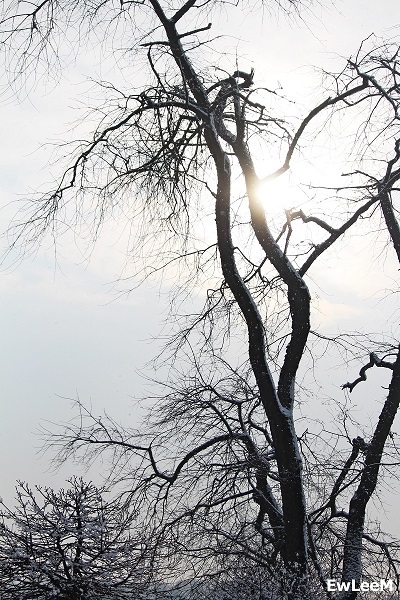 Kliknij na zdjęcie, żeby zobaczyć w pełnych wymiarach