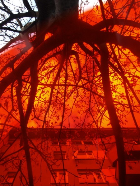 Kliknij na zdjęcie, żeby zobaczyć w pełnych wymiarach