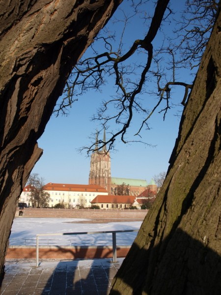 Kliknij na zdjęcie, żeby zobaczyć w pełnych wymiarach