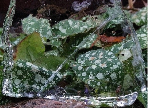 Kliknij na zdjęcie, żeby zobaczyć w pełnych wymiarach