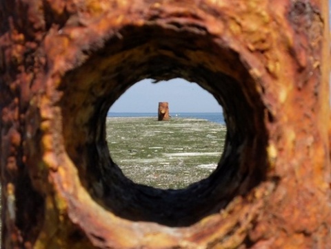 Kliknij na zdjęcie, żeby zobaczyć w pełnych wymiarach