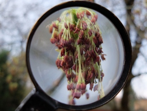 Kliknij na zdjęcie, żeby zobaczyć w pełnych wymiarach