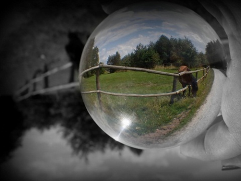 Kliknij na zdjęcie, żeby zobaczyć w pełnych wymiarach