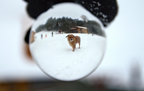 Kliknij na zdjęcie, żeby zobaczyć w pełnych wymiarach
