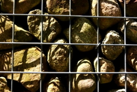 Kliknij na zdjęcie, żeby zobaczyć w pełnych wymiarach