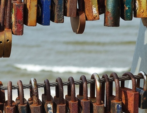 Kliknij na zdjęcie, żeby zobaczyć w pełnych wymiarach