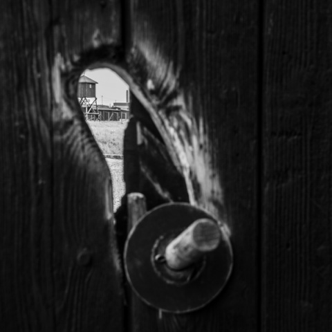 Kliknij na zdjęcie, żeby zobaczyć w pełnych wymiarach