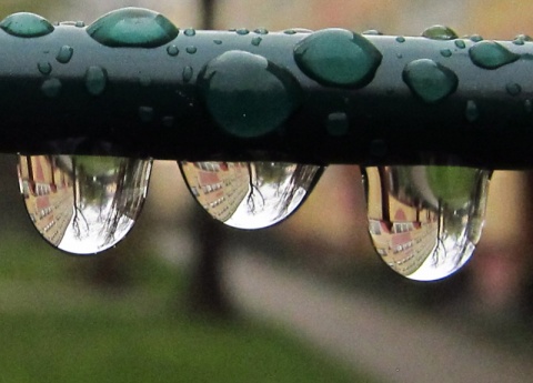 Kliknij na zdjęcie, żeby zobaczyć w pełnych wymiarach