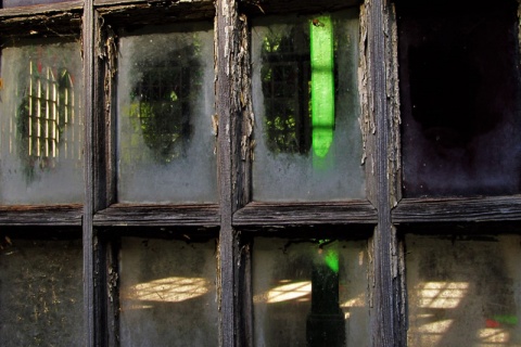 Kliknij na zdjęcie, żeby zobaczyć w pełnych wymiarach