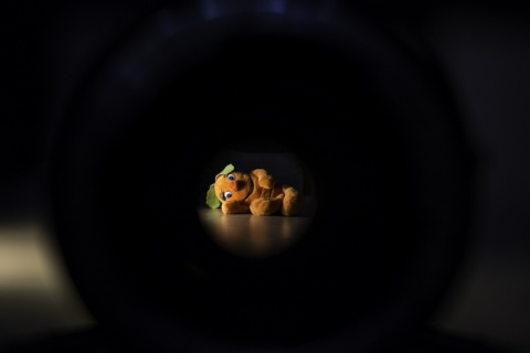 Kliknij na zdjęcie, żeby zobaczyć w pełnych wymiarach