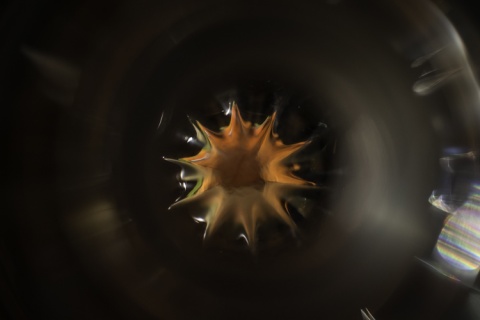 Kliknij na zdjęcie, żeby zobaczyć w pełnych wymiarach