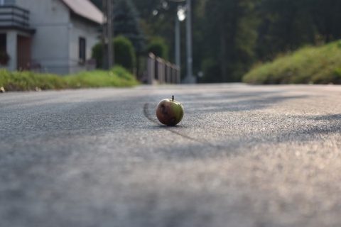 Kliknij na zdjęcie, żeby zobaczyć w pełnych wymiarach