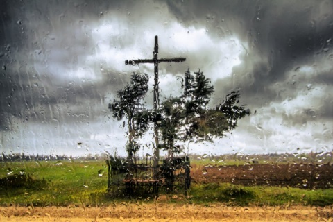 Kliknij na zdjęcie, żeby zobaczyć w pełnych wymiarach