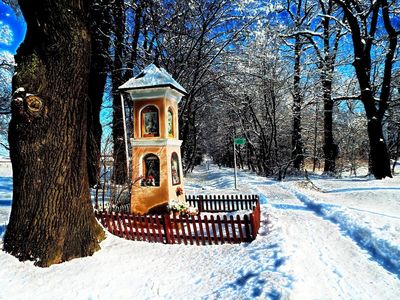 Kliknij na zdjęcie, żeby zobaczyć w pełnych wymiarach