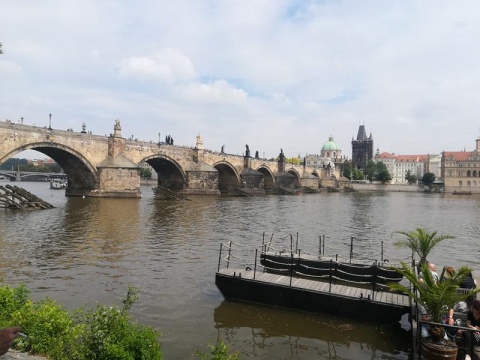 Kliknij na zdjęcie, żeby zobaczyć w pełnych wymiarach