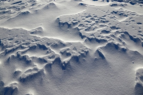 Kliknij na zdjęcie, żeby zobaczyć w pełnych wymiarach