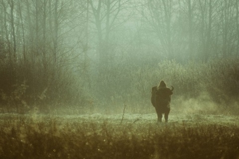 Kliknij na zdjęcie, żeby zobaczyć w pełnych wymiarach
