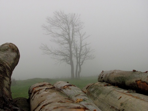 Kliknij na zdjęcie, żeby zobaczyć w pełnych wymiarach