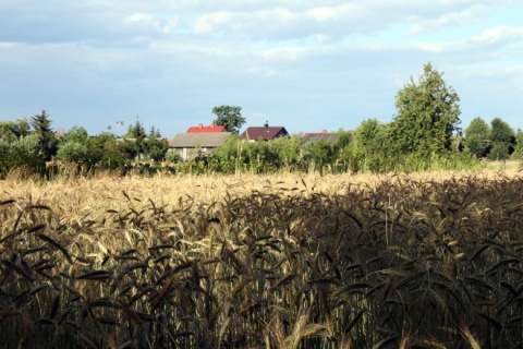 Kliknij na zdjęcie, żeby zobaczyć w pełnych wymiarach