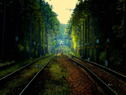 Kliknij na zdjęcie, żeby zobaczyć w pełnych wymiarach