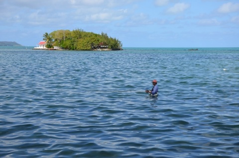 Kliknij na zdjęcie, żeby zobaczyć w pełnych wymiarach
